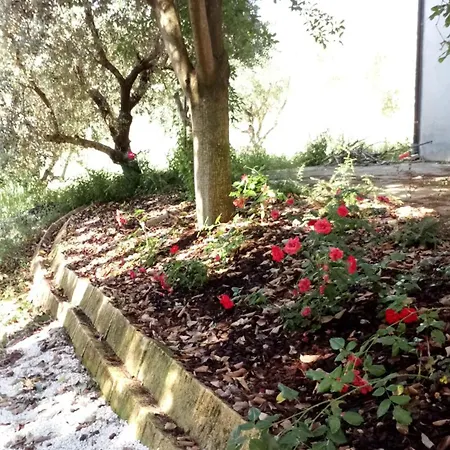 Bed & Breakfast Casale Mongiusti 1961 *