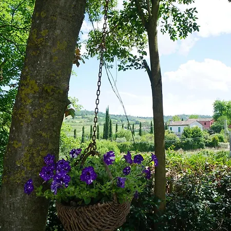 Casale Mongiusti 1961